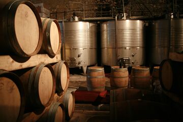 La Cave : une des plus grandes variétés de cépages du Languedoc La Cave : une des plus grandes variétés de cépages du Languedoc