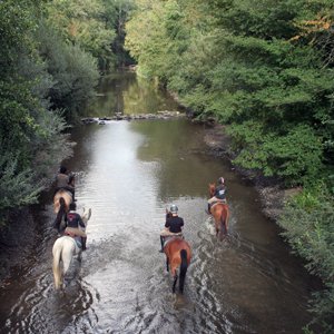 Découvrez notre Offre Œno-Touristique Exclusive au Domaine de Viranel