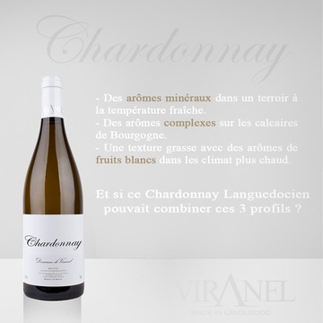 Chardonnay (IGP Pays d'OC)