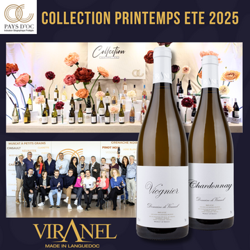 Chardonnay & Viognier sélectionnés pour la Collection Printemps-Été des Pays d’Oc Chardonnay & Viognier sélectionnés pour la Collection Printemps-Été des Pays d’Oc