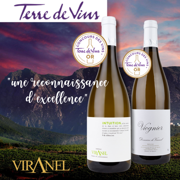 Intuition Blanc & Viognier primés au Concours Terre de Vins 2025